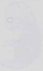 EMAGE:14337