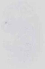 EMAGE:14337