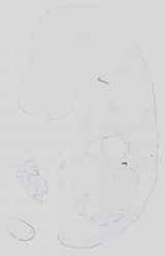 EMAGE:14340