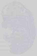EMAGE:14378
