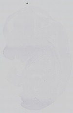 EMAGE:14380