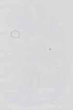 EMAGE:14386