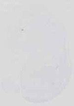 EMAGE:14386