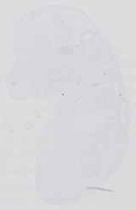 EMAGE:14390