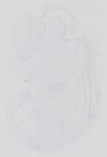 EMAGE:14392