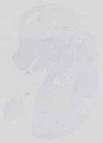 EMAGE:14392
