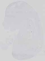 EMAGE:14447