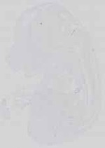 EMAGE:14447