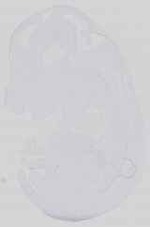 EMAGE:14447