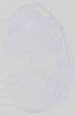EMAGE:14447