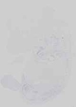 EMAGE:14475