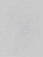 EMAGE:14475