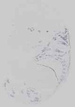 EMAGE:14483