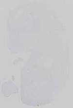 EMAGE:14485