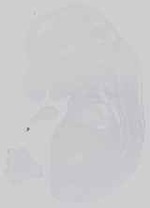 EMAGE:14502