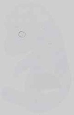 EMAGE:14505