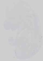 EMAGE:14505