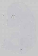EMAGE:14521