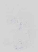 EMAGE:14532