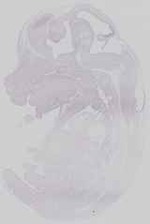 EMAGE:14549