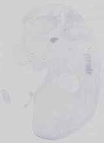 EMAGE:14552