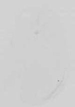 EMAGE:14552