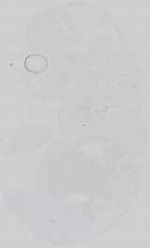 EMAGE:14557