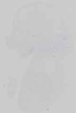 EMAGE:14558