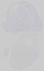 EMAGE:14558