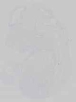 EMAGE:14564