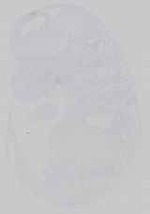 EMAGE:14564