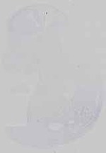 EMAGE:14567