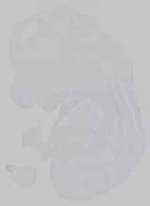 EMAGE:14576