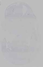 EMAGE:14592