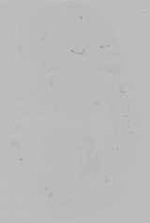 EMAGE:14592