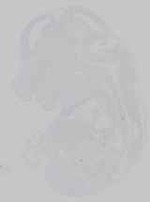 EMAGE:14607