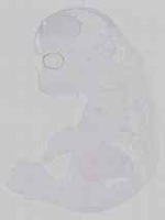 EMAGE:14681