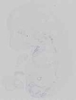 EMAGE:14689