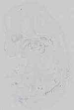 EMAGE:14689
