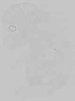 EMAGE:14698