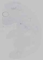 EMAGE:14701