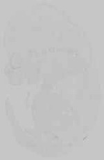 EMAGE:14701