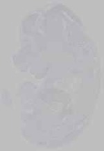 EMAGE:14704
