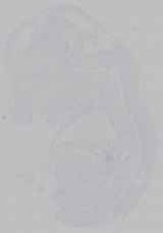 EMAGE:14707