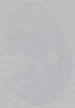 EMAGE:14707