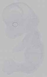 EMAGE:14707