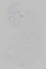 EMAGE:14732