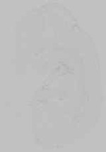 EMAGE:14751