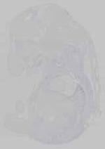 EMAGE:14756