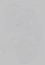EMAGE:14784